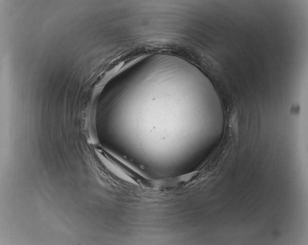 X0000113580868200910021650