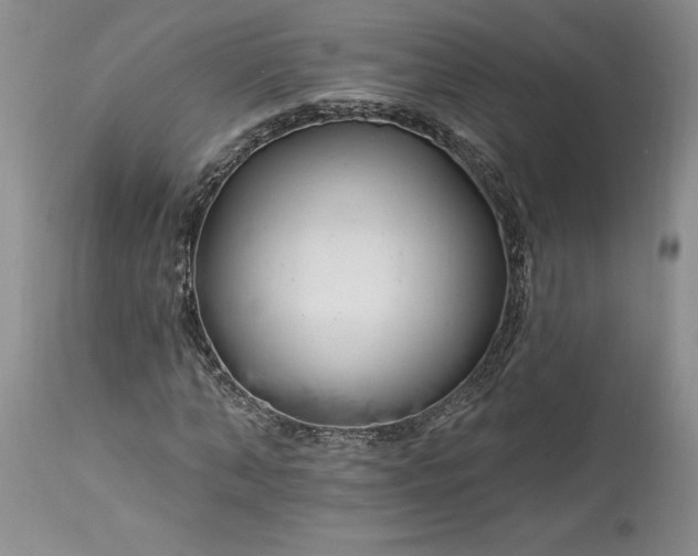 X0000113580870200910021650