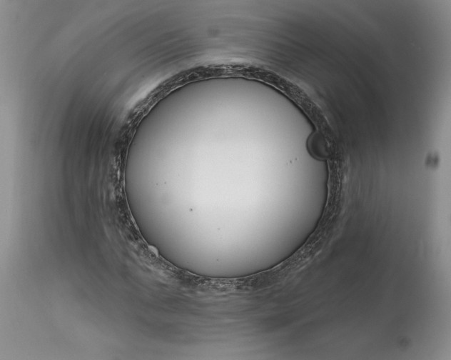 X0000113580871200910021650