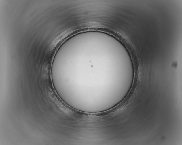 X0000113580873200910021650