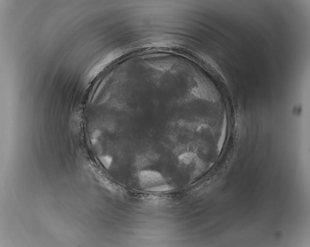 X0000113580874200910021650