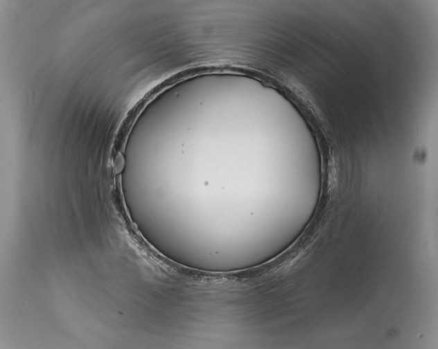 X0000113580876200910021650