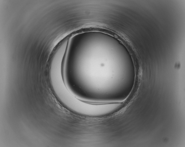 X0000113580877200910021650