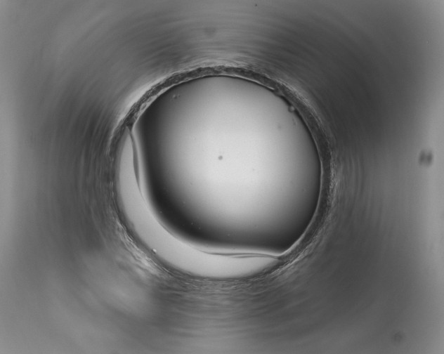 X0000113580878200910021650