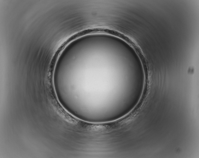 X0000113580879200910021650