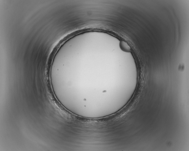 X0000113580880200910021650