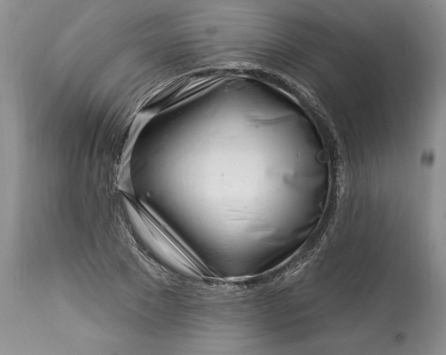 X0000113580881200910021650