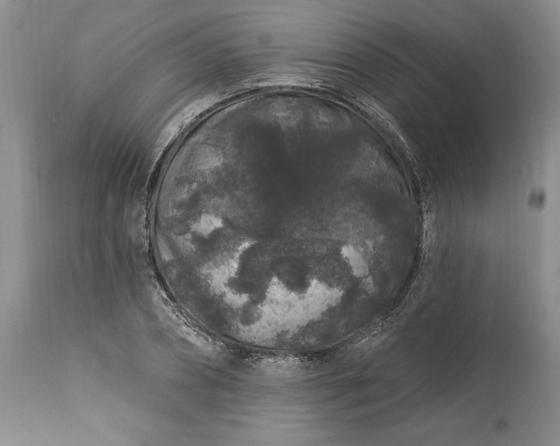 X0000113580882200910021650