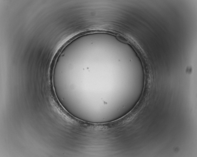 X0000113580884200910021650