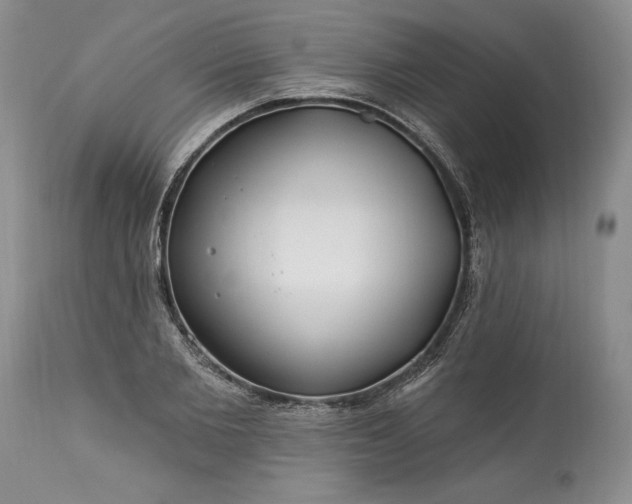 X0000113580885200910021650