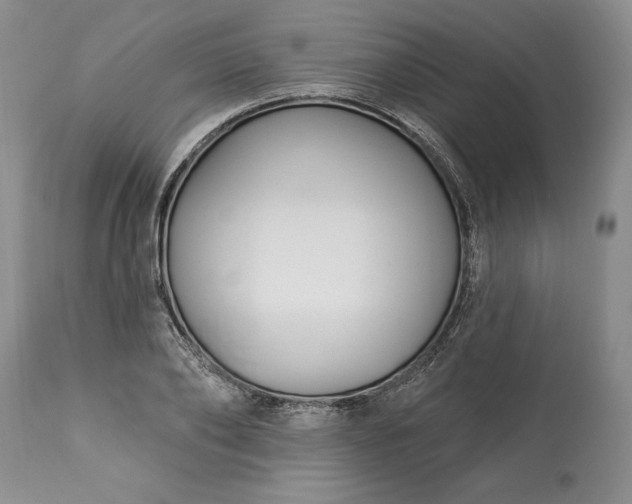 X0000113580886200910021650