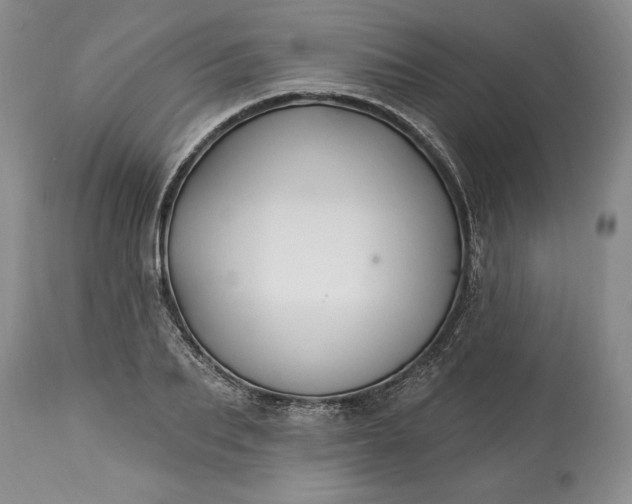 X0000113580887200910021650