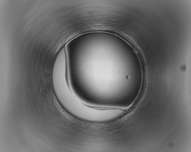 X0000113580889200910021650