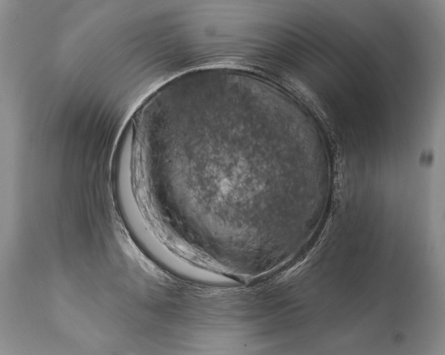 X0000113580892200910021650