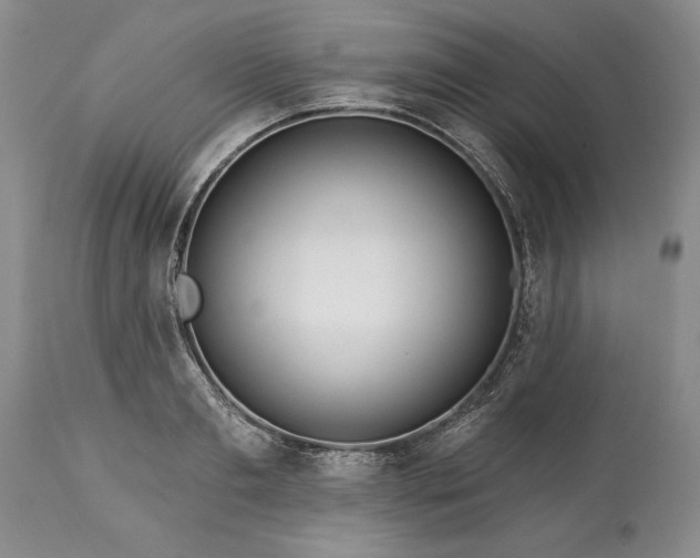 X0000113580893200910021650