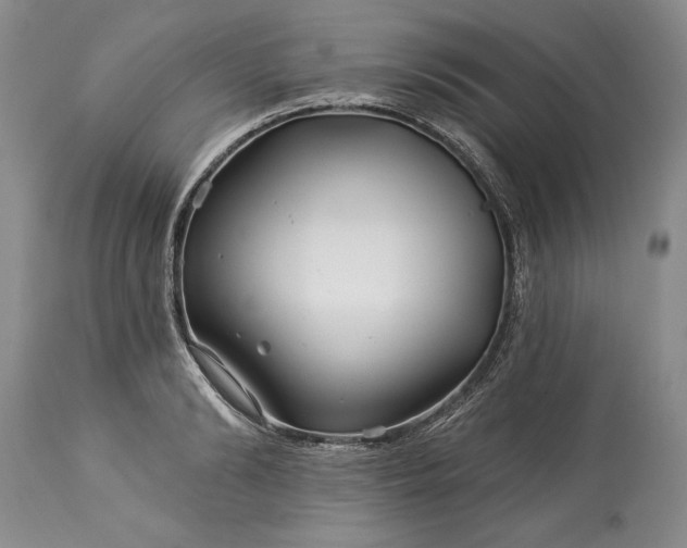 X0000113580894200910021650