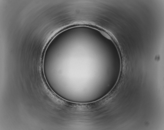 X0000113580895200910021650