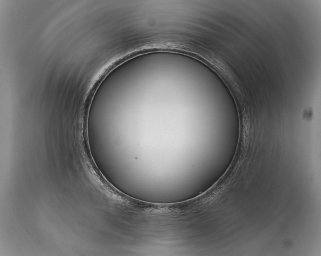 X0000113580896200910021650