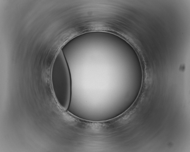 X0000113580897200910021650