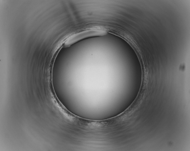 X0000113580898200910021650