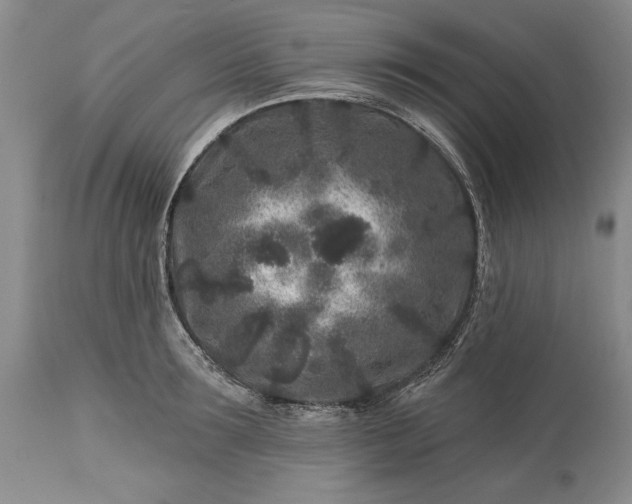 X0000113580899200910021650