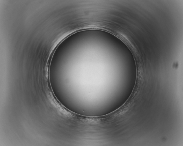 X0000113580900200910021650