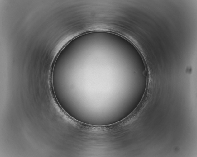 X0000113580901200910021650