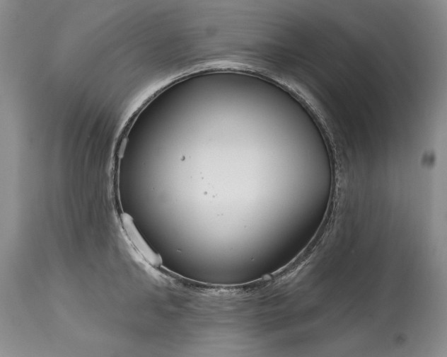 X0000113580902200910021650