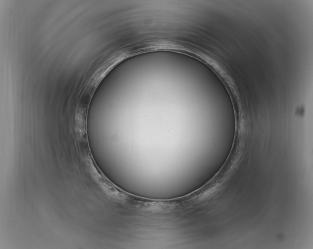 X0000113580905200910021650