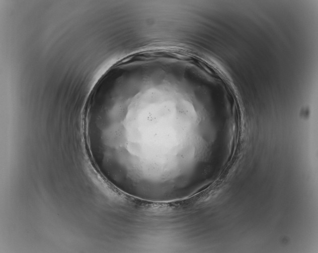 X0000113580907200910021649