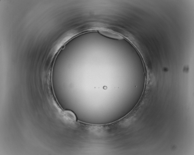 X0000113580909200910021649