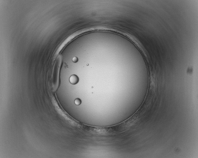 X0000113580911200910021649