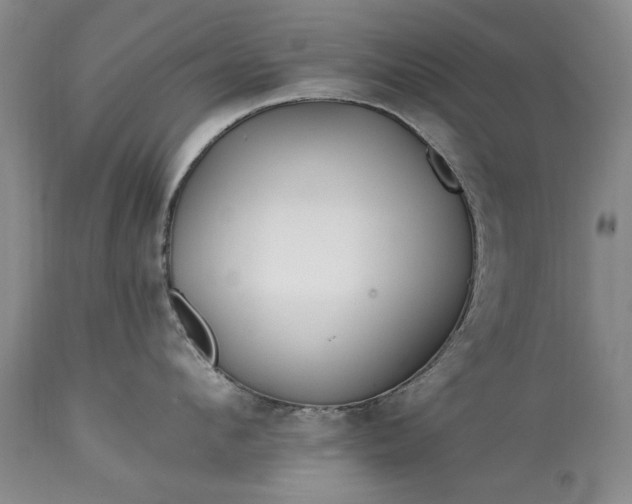 X0000113580912200910021649