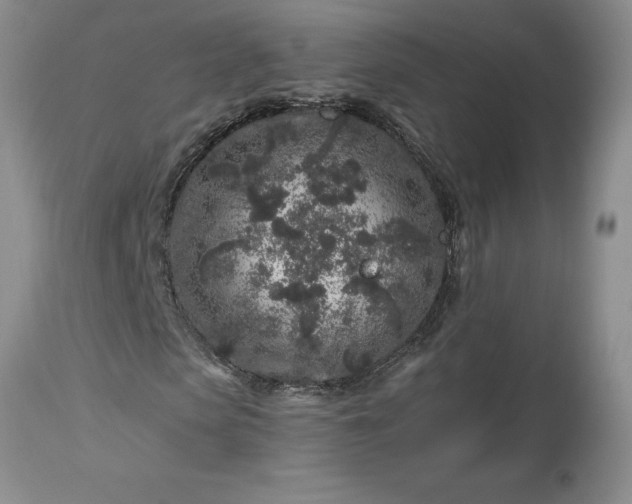 X0000113580913200910021648