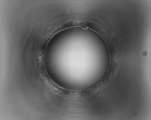 X0000113580914200910021648