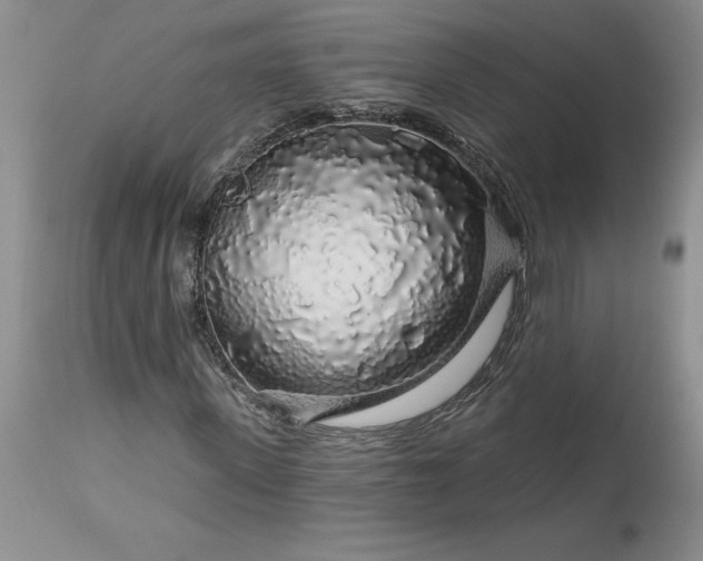 X0000113580915200910021648