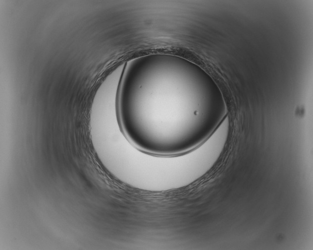 X0000113580916200910021649