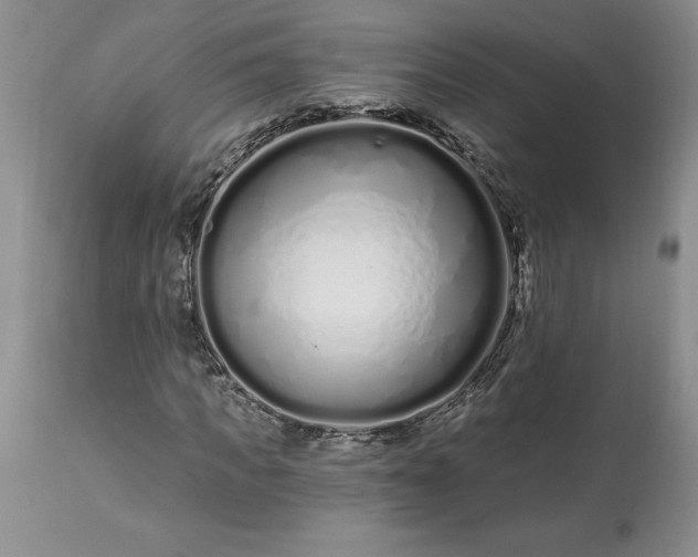 X0000113580917200910021649