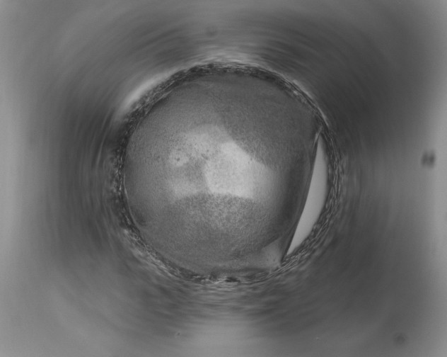 X0000113580919200910021649