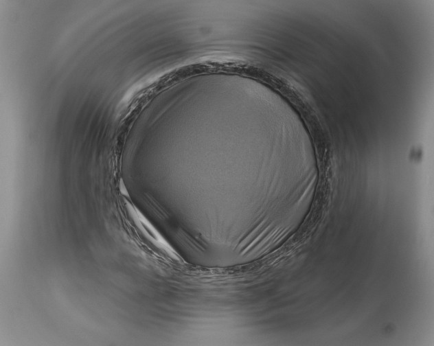 X0000113580920200910021649