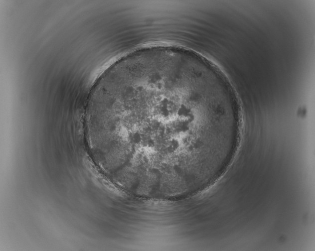 X0000113580921200910021649