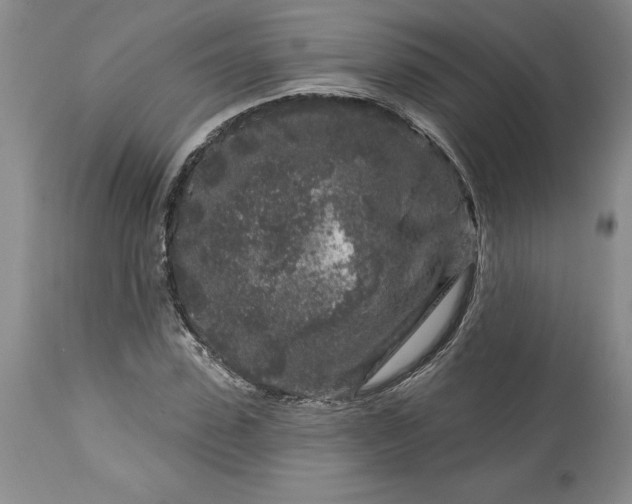 X0000113580923200910021649