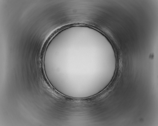 X0000113580924200910021649