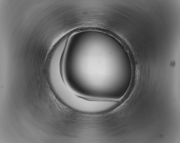 X0000113580925200910021649