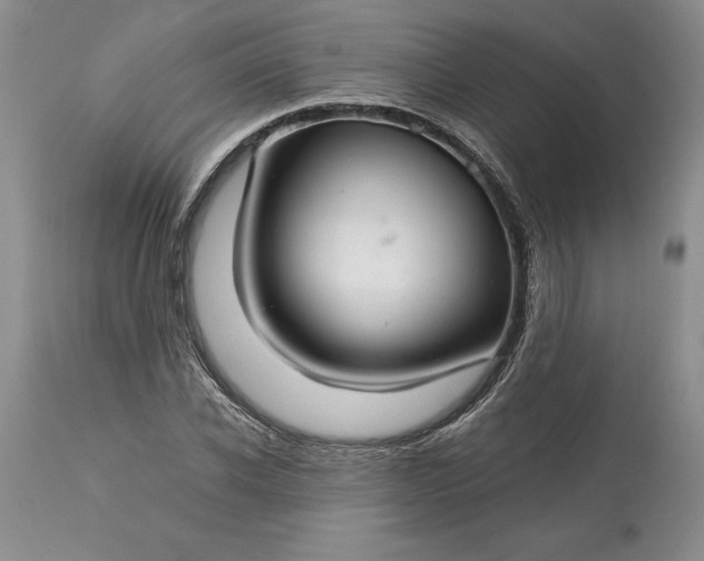 X0000113580926200910021649