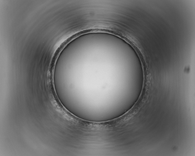 X0000113580928200910021649