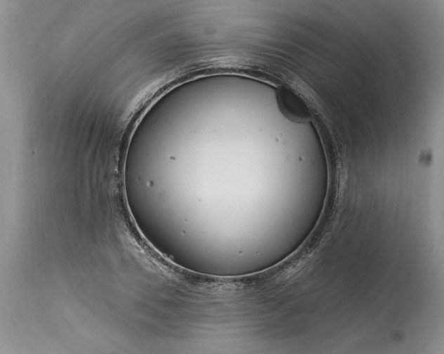 X0000113580930200910021649