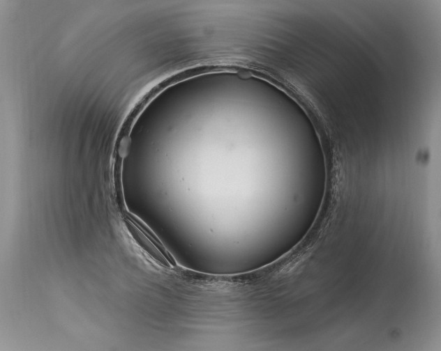 X0000113580932200910021649