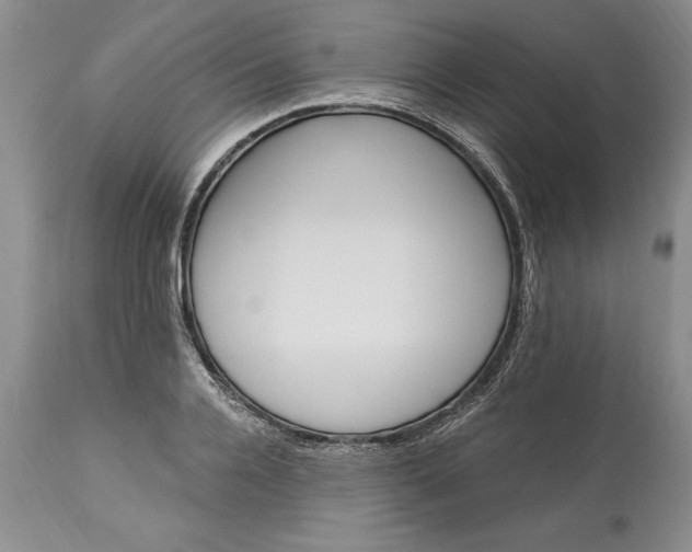 X0000113580936200910021649