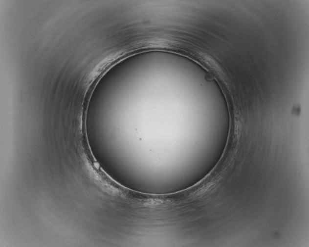 X0000113580938200910021649